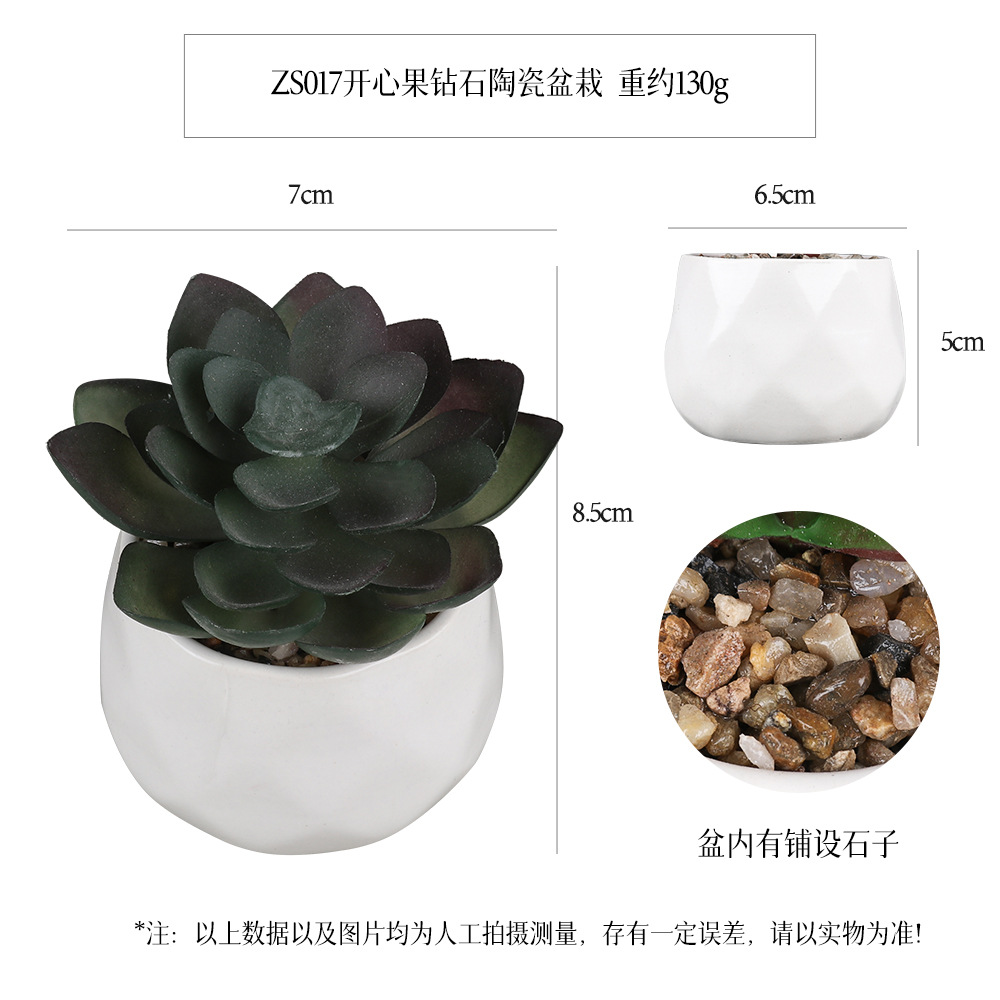 Piedra de pistacho artificial pavimentación de cerámica en forma de diamante mini suculenta en maceta decoración de escritorio Planta artificial bonsai