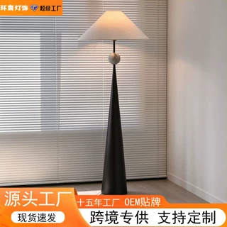 氛围灯高颜值极简现代轻奢立式落地台灯 高级感客厅落地灯沙发边