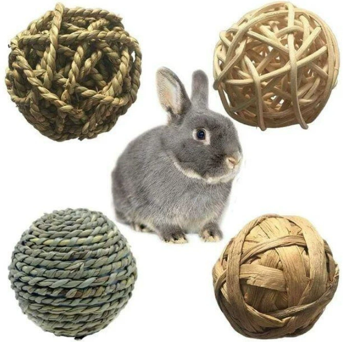 Rabbit, amusing toy, set, pet