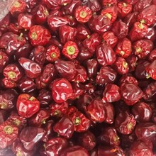 ���\���������F������΢������t���\����������偻������