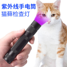 ¿uv365nmϹ Xղob⾀ɹ℩zyRͲ