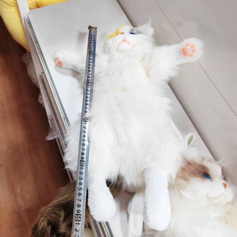 抖音同款三花猫仿真猫咪玩偶娃娃公仔毛绒玩具布偶猫背包生日礼物|undefined