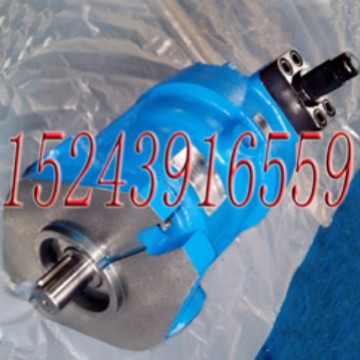 250SCY14-1B+Y315S-6邵阳维克SY-160SCY-Y315油泵电机组A4VSO250