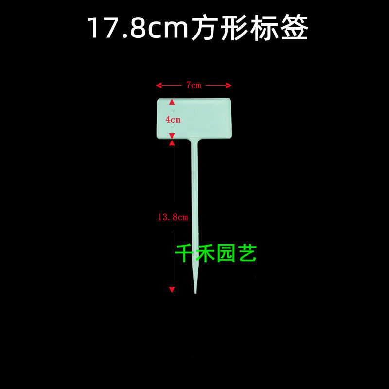 Green 17.8cm square label