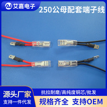 ���Ӿ��ӹ�250��ĸ����늙C�B�Ӿ�6.3�g�����i��܇��������B�Ӿ�