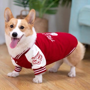 �����·��ﶬ�b���ư�����»����������ȮС������Ȯ���ܷ���