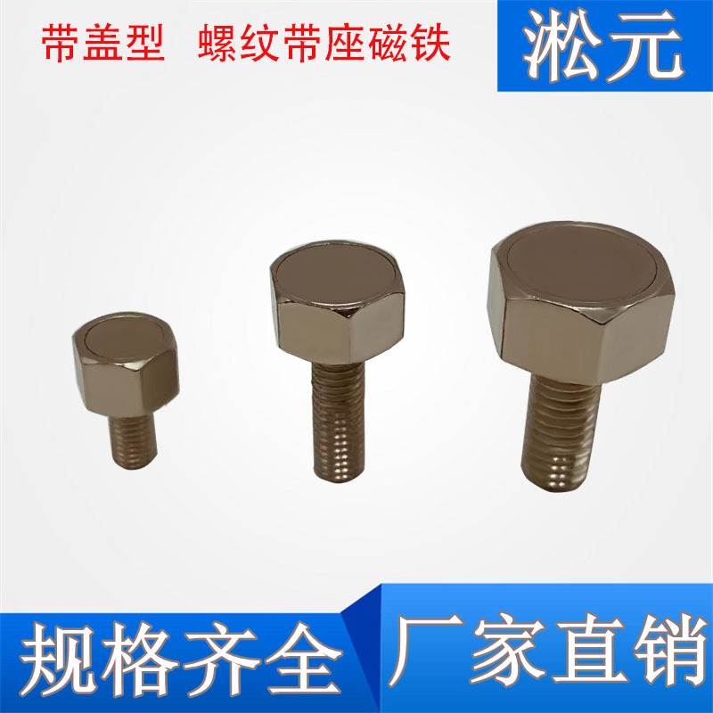 BML21-M4/M5/M6/M8-L10/L20带盖型外六角螺栓磁铁钕铁硼耐高温