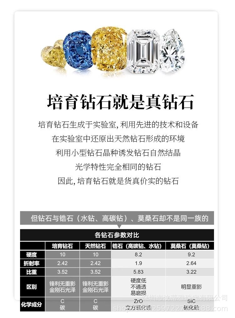 微信图片_20240428131532