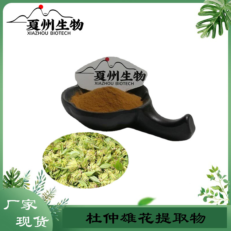 杜仲雄花提取物10/20/30/50:1   杜仲雄花粉  夏州生物现货kg装
