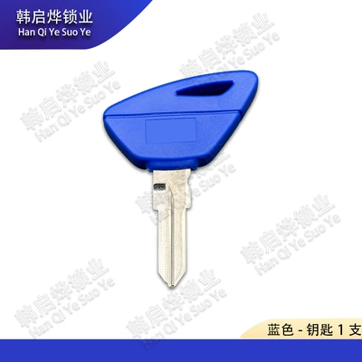 Chip Key Blank – Motorcycle Key