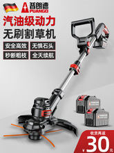 늄ӸݙCСʹݙC늲ƺCróʽݙC