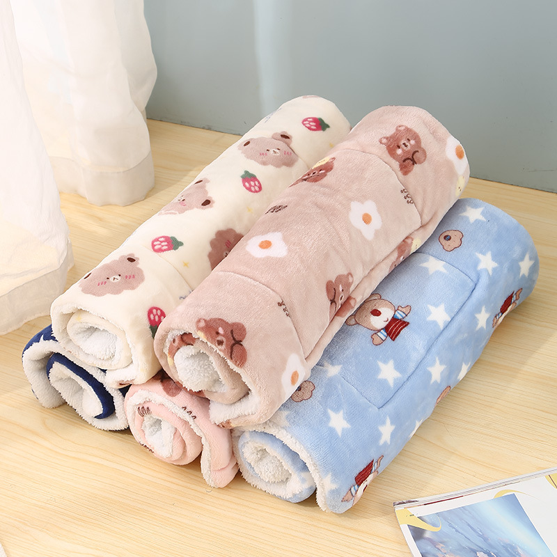 Factory Direct Sale Pet Throw Blanket Flannel Thick Dog Blanket Cat Blanket Pet Mat Dropshipping Pet Mat