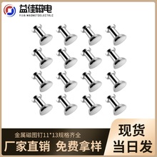 11*13mm现货批发强磁磁性图钉金属磁钉强磁钕铁硼办公用品磁力