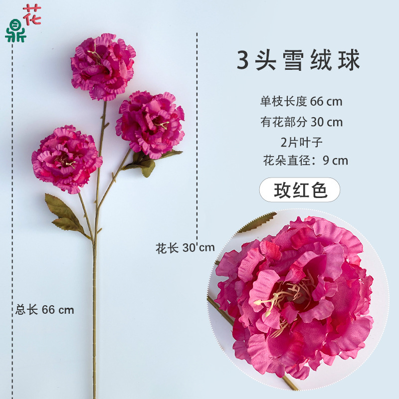 3 헤드 에델바이스 로즈 레드