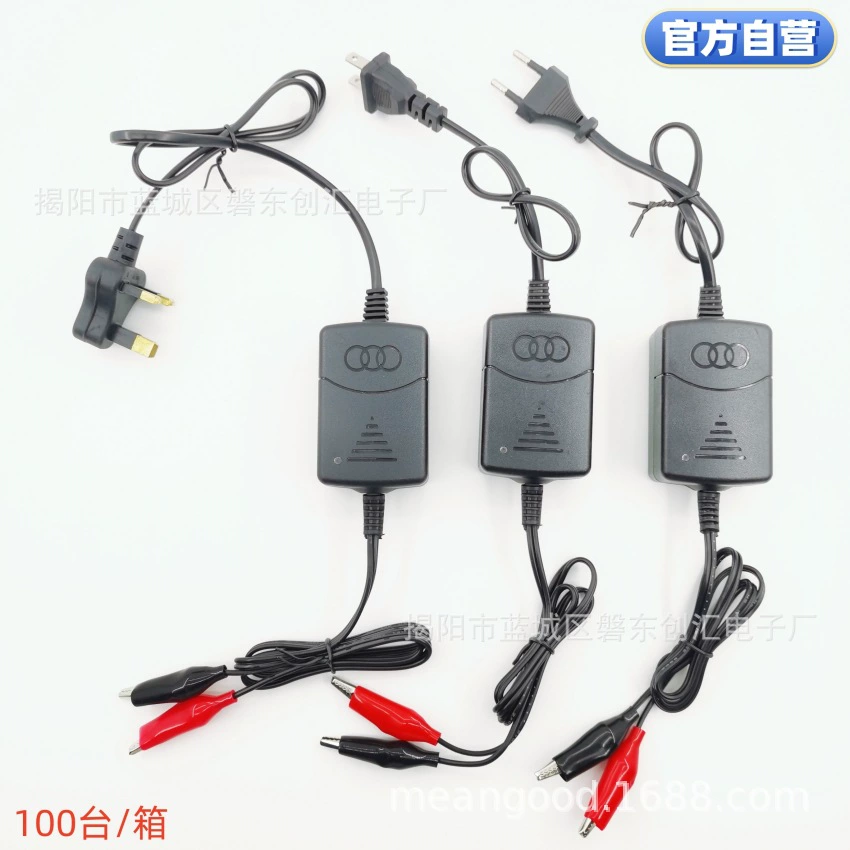 Charger, smart rechargeable battery, 12v, 12v