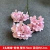 Three -headed hydrangea pink