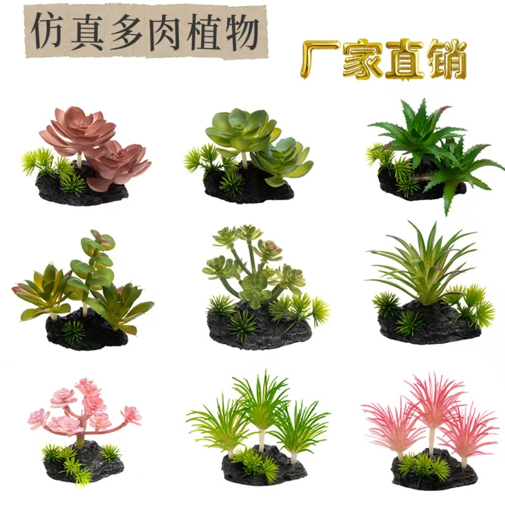 Simulación transfronteriza aire piña suculentas plantas trepadoras caja de mascotas paisajismo planta verde pecera fábrica de decoración paisajismo