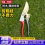 修枝园林嫁接家用剪枝剪