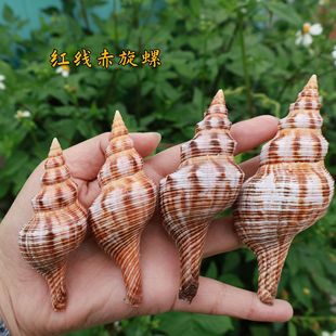 ��Ȼ����ؐ���t����� �t��������ˮ���~���쾰�Ҿә��������b�