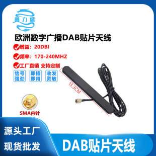 ANT-309plus �W�ޔ��֏V��DAB+�쾀 ���������쾀 �NƬ�[���쾀