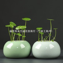 մɸG_ƬմˮСo׻GֲС滨