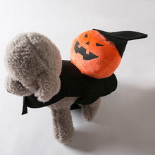 ���ﹷ���T�R���`�Ϲϸ�ָ�Ц�f�}������؈���·����bС�����w��