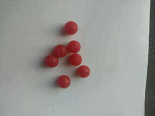 �ǘ��s�������������S�s������ħ�g���߹Ųʑ�����ժ��һ������