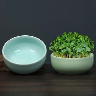 ˮ�ɻ����մɴ�̖����һ�~ɏ��ɏ�����ˮ��˯ɏ����~�X�݌���