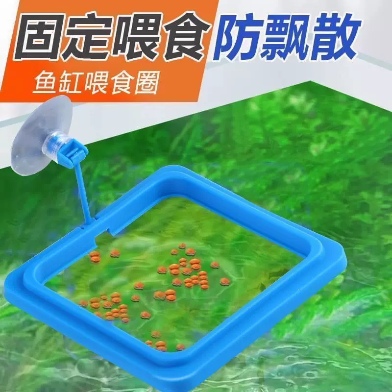 鱼缸喂食器喂鱼神器孔雀鱼漂浮喂食圈丰年虾投食器鱼食投喂器