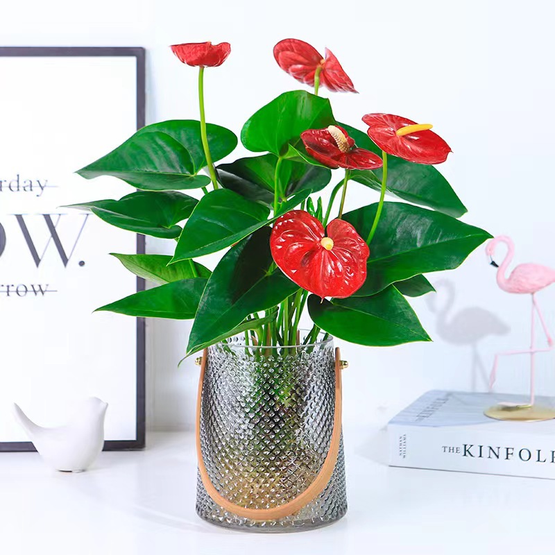 678413400696s6ebc2f19-7a7d-4ed