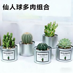 �����������F�޴��P��΢���^�k����������С�����҃ȾGֲ����ֲ��