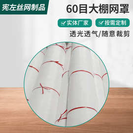 定制供应普通60目大棚网罩大棚蔬菜养殖网农业蔬菜果树防虫网