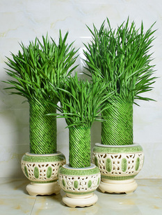 �������F�����҃ȿ͏d����ˮ����;Gֲ���k���Һ��B�[��