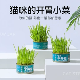 猫猫食具;其他小宠用品;狗狗食具