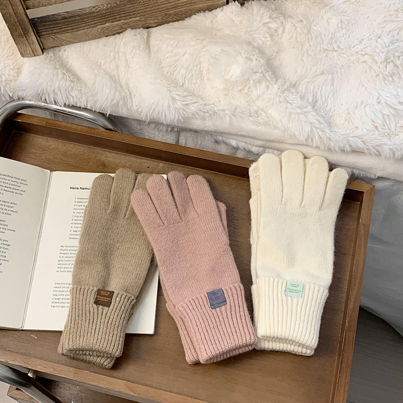 Nuevos guantes de punto para mujeres de otoño y invierno estilo coreano versátil al aire libre para montar caliente a prueba de frío guantes de dedo para estudiantes con pantalla táctil