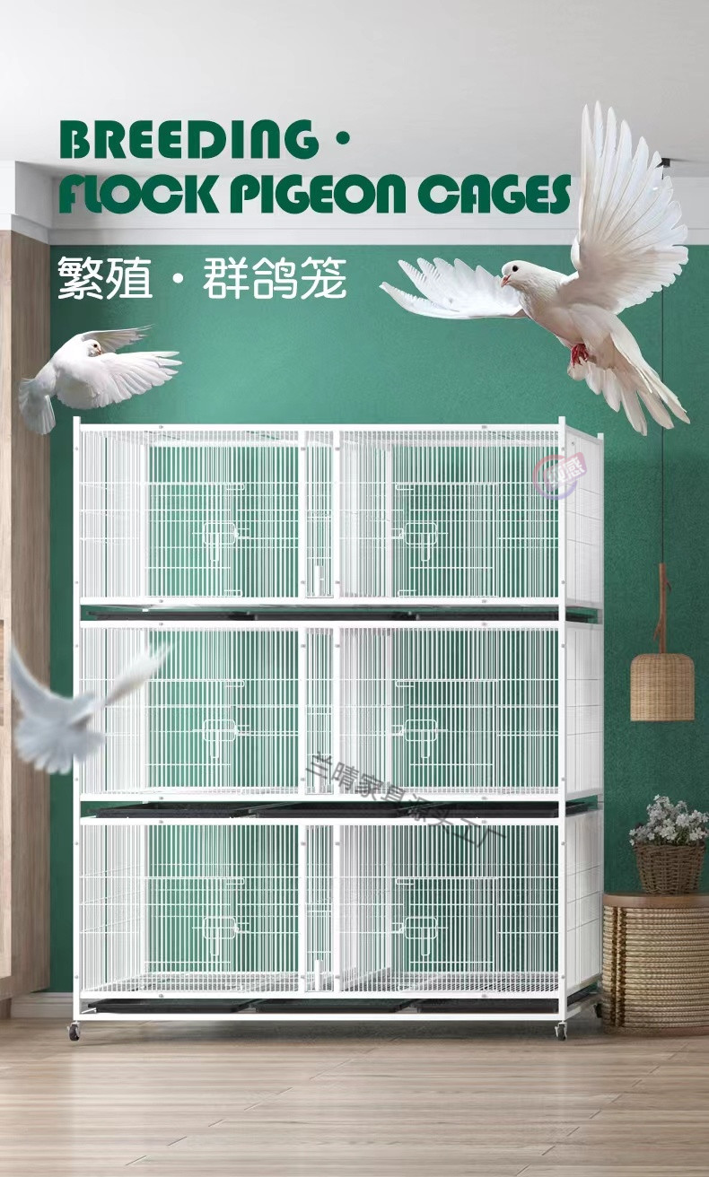 01857c16-b780-4b38-845a-075f0da388f0.jpe