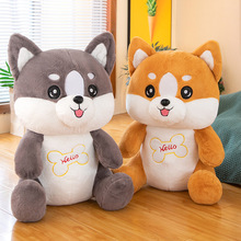 羳ëʿëq߹гżܛŮնYС