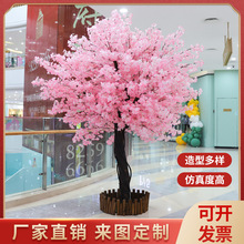 �ѻ��� �Ƶ��c�쾰��ѻ����̈��b[���٘�ѻ���