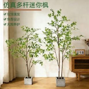 �·�����U�������ԼҾӿ͏d�����쾰�b���ؔ[���پGֲ���滨