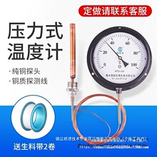 WTQ WTZ-280ѹ��ʽ�¶ȼ� ��¯��ָ�� Զ���¶ȱ� ˮ�¼Ʋ�����
