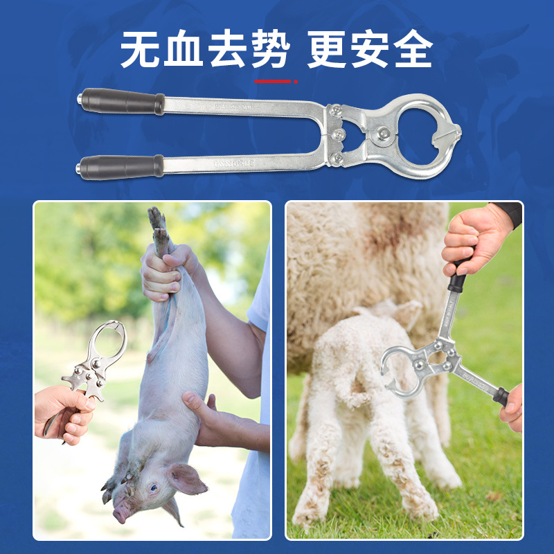 Alicates de castracion veterinaria alicates de castracion de acero inoxidable para cerdos, ganado y ovejas alicates de castracion libres de sangre
