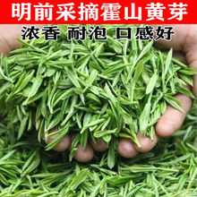 新茶明前头采纯芽〕明前黄芽一针两叶粗壮嫩散罐装礼品盒包邮