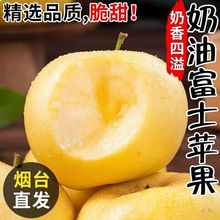 ɽ�|��̨�������͸�ʿ�O���SԪ�������r�����r��ժԭ�a��ֱ�l���]