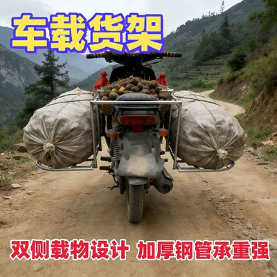 Electric Vehicle Cargo Rack, Motorcycle frame