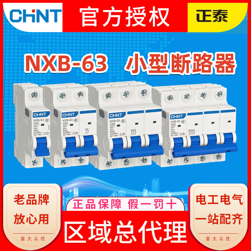 Chint Small Circuit Breaker, Household Appliance Protector, Wholesale Charging Station Switch Nxb/Nxble
