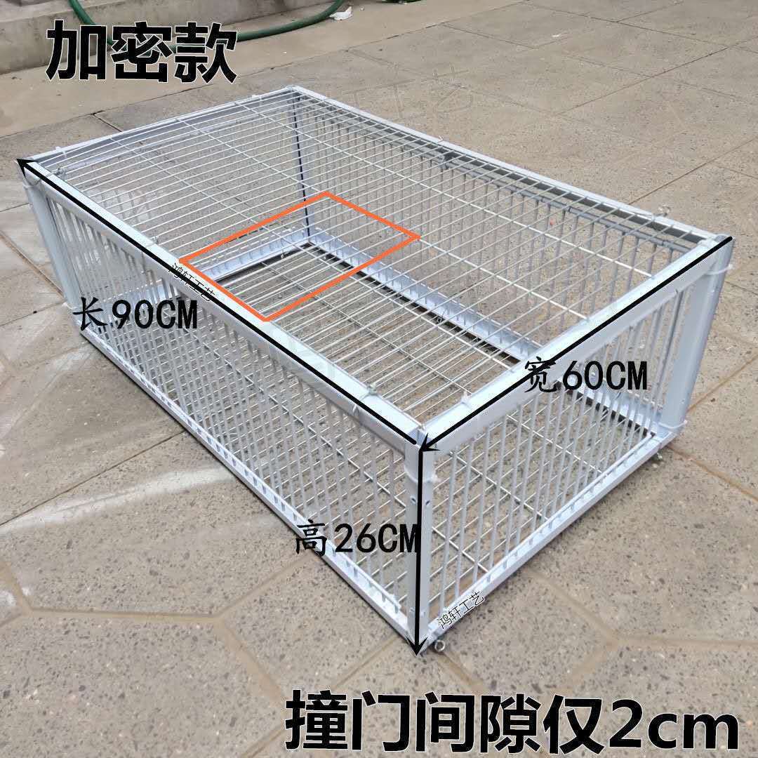 加密鸽子笼兔子笼小型动物自动撞笼有进无出鸽子神器专业鸽子笼