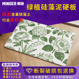 跨境浴室地垫绿色植物硅藻泥硬垫防滑吸水硅藻土厕所卫生间脚垫