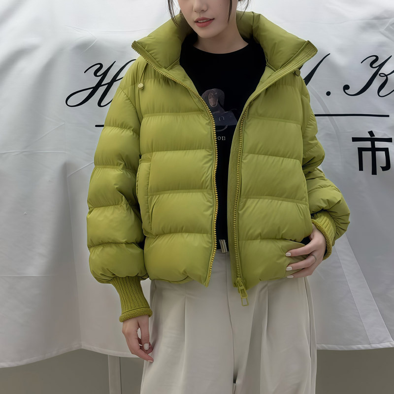 Women's new down jacket, duck down, winter women's clothing, Korean style, loose fit, plus size, stand-up collar, women's clothing, Pinghu wholesale