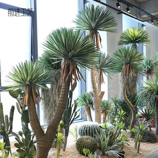 ����ֲ��ǧ�ք����̈�չ�d�������ܛ�z�����m�쾰�b��;Gֲ