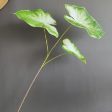 3D打印仿真绿植3头手感彩叶芋叶海芋叶 跨境热销北欧森系造景批发